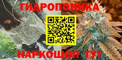 марки lsd Канаш