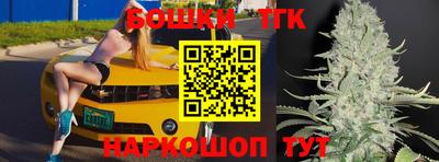 дживик Камышлов