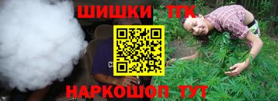 дживик Камышлов