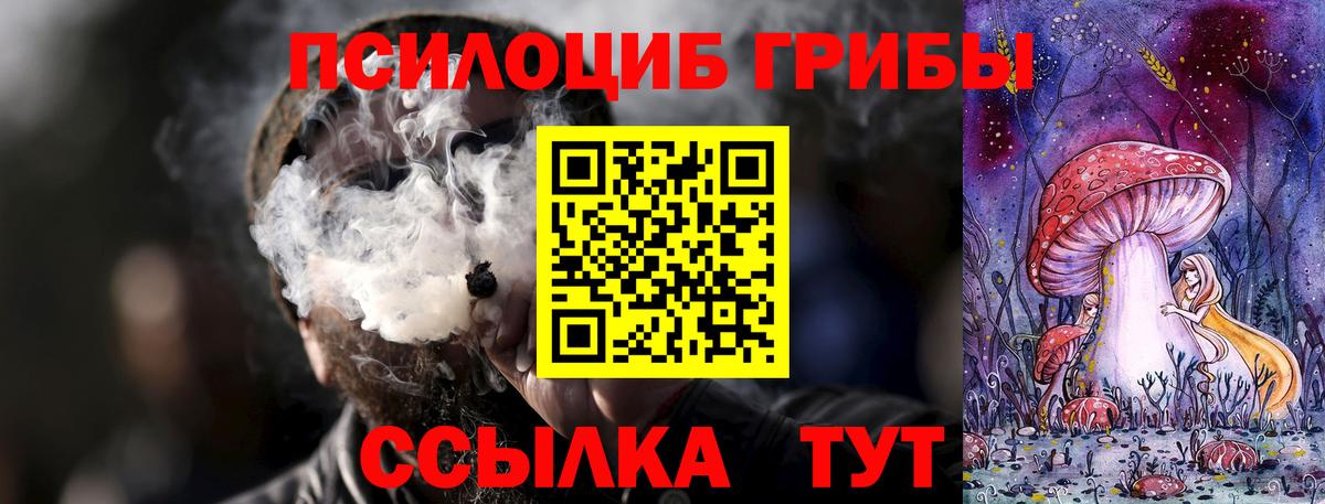 Галлюциногенные грибы Psilocybine cubensis Лабытнанги